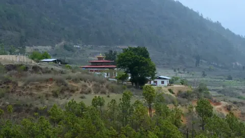 Farmhouse and trees on a hillside in a misty valley