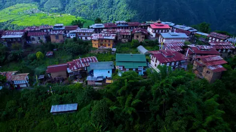 Aerial view of a village among forest and terraced fields