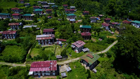Aerial view of village houses among trees with a rural road
