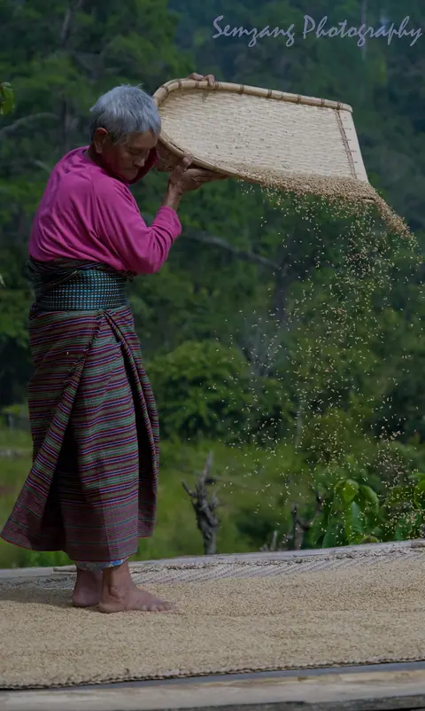 Older woman winnowing grain with a bamboo tray